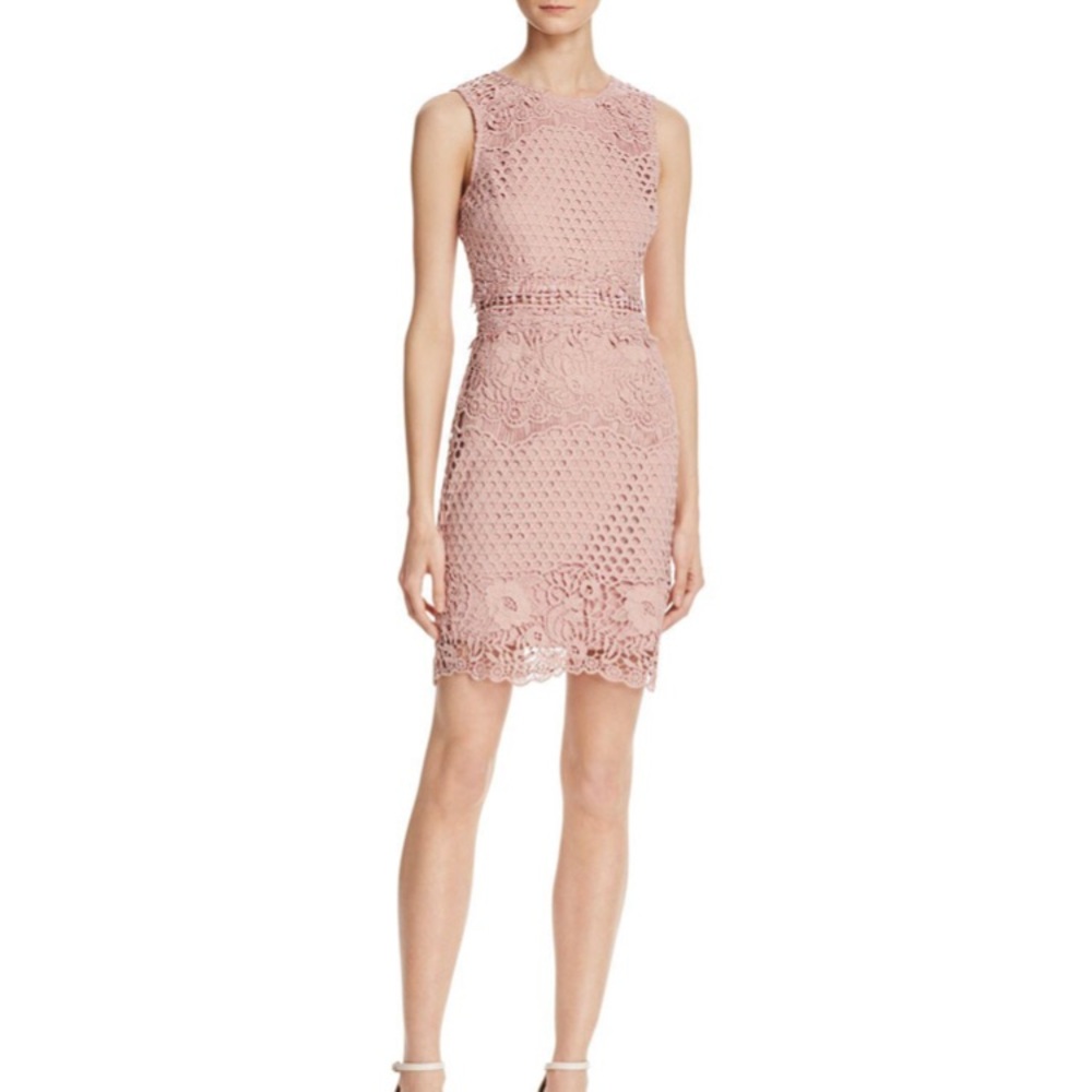 Brand New Aqua Rosey Pink Sleeveless Lace Dress